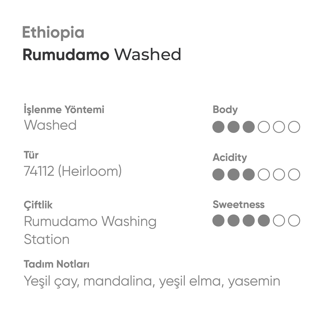 Ethiopia Rumudamo Washed