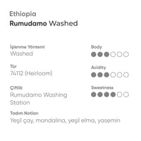 Ethiopia Rumudamo Washed